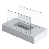 Camino a Bioetanolo da Tavolo 830 W Bruciatori senza Residui Inodore In Acciaio Inox con Vetro 35x18x21 cm Bianco