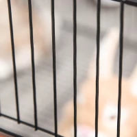 Pawhut Gabbia per Conigli e Piccoli Animali, 22 Pannelli Modulabili in Metallo con Porta, Nero, 105 x 70 x 45cm