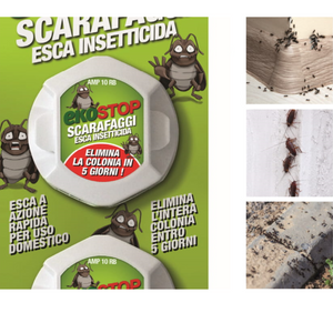 Trappola scarafaggi blister blatte esca insetticida casa fessure nido ekostop