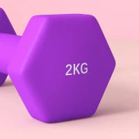 Set 2 Manubri 2x2 kg Esagonali e Antiscivolo per Casa e Palestra, in Metallo e Plastica, 16x7.5x7.5 cm, Viola