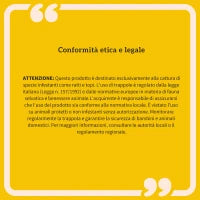 Gabbia Trappola per Animali Piccoli con Una Porta e Maniglia, 100x25x28cm cm, Verde Scuro