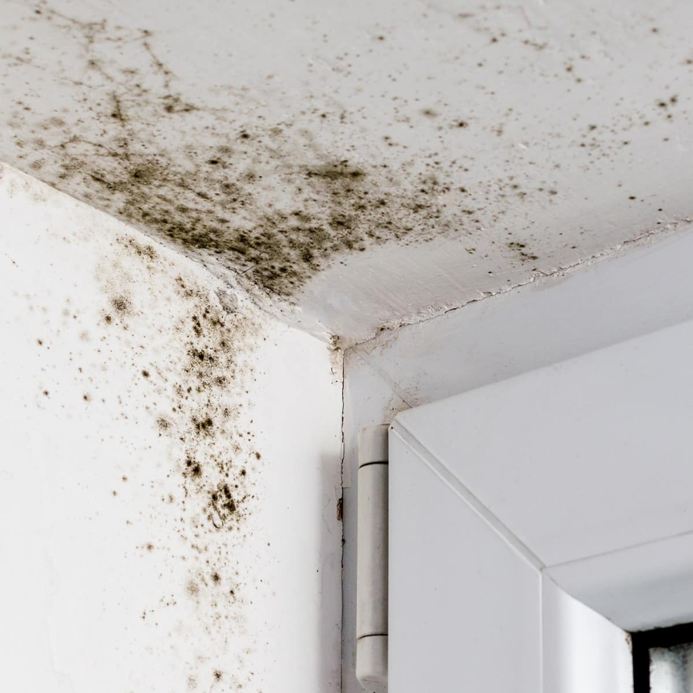 Detergente universale profumato spray sbiancante sanificante togli muffa 500 ml