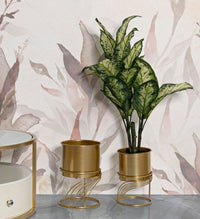 P/VASI COPPIA SPIRALLY CM Ø 23X35-20X30