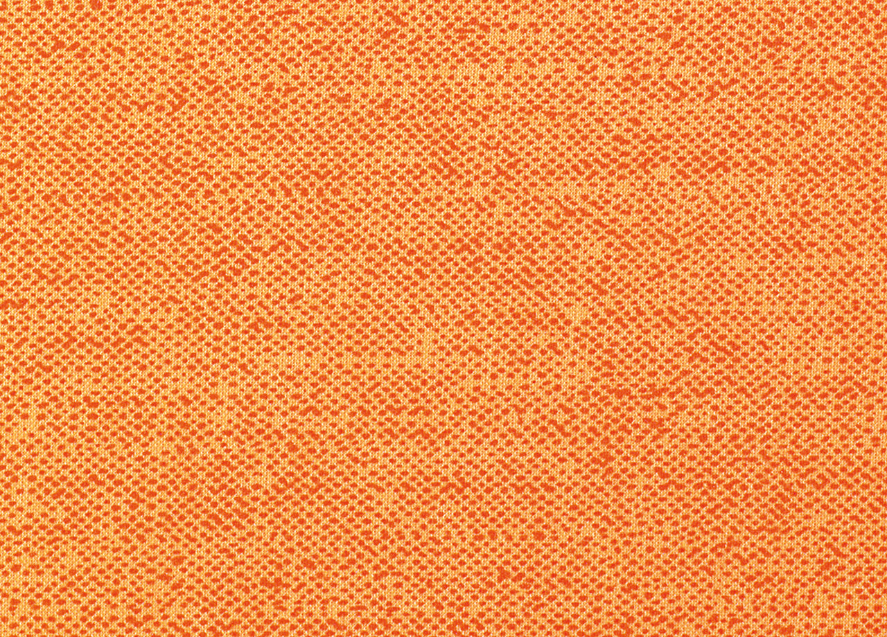 Set Cuscini Coprisedia Imbottiti Sfoderabili Modello Panama Made In Italy - Fascia Rotonda 4Pz - Albicocca