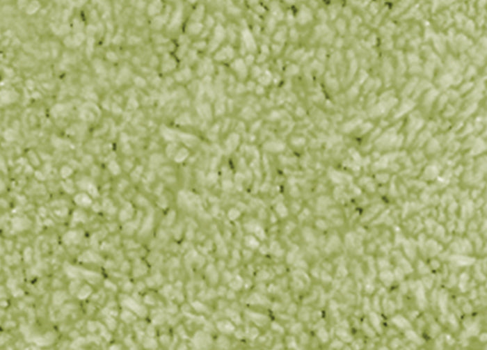 Tappeto Da Bagno Disegno Pois - 50x80 - Verde