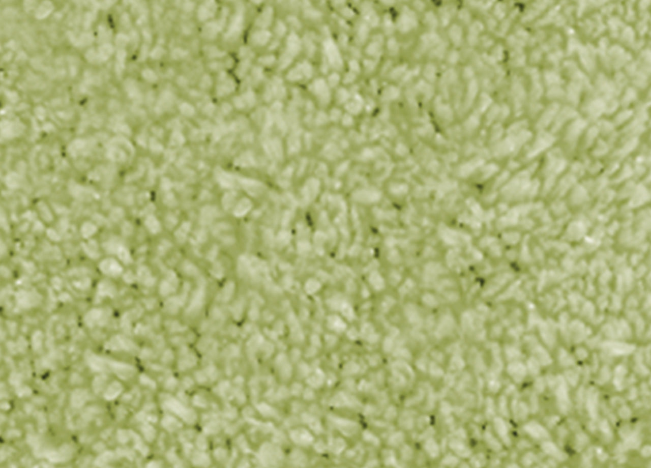 Tappeto Da Bagno Disegno Pois - 60x110 - Verde