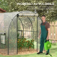 Serra a Tunnel 3x2x2m con Porta Avvolgibile e Finestre a Rete in Acciaio e Plastica, Trasparente