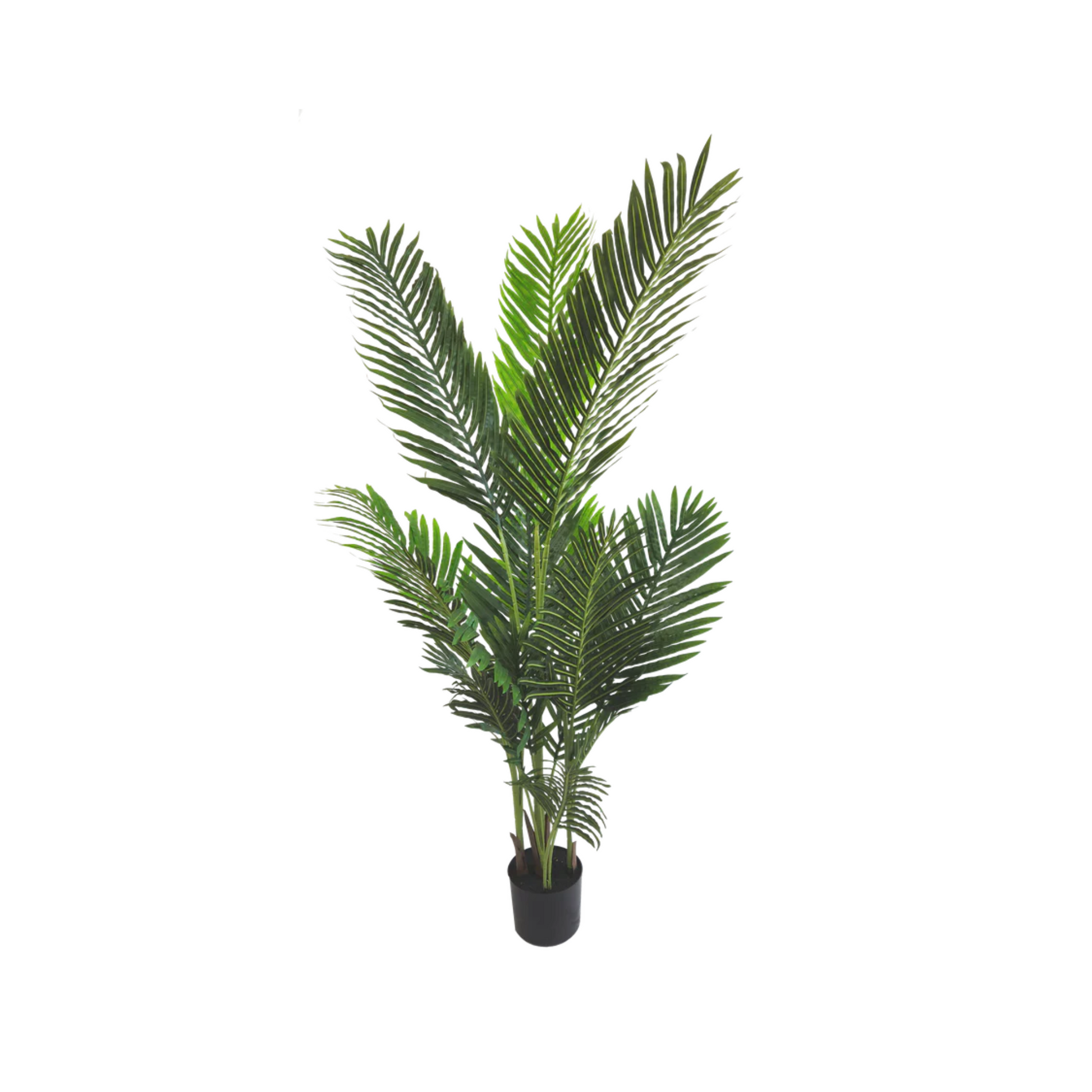 Pianta artificiale per interno Palma areca cm 150 verde con vaso