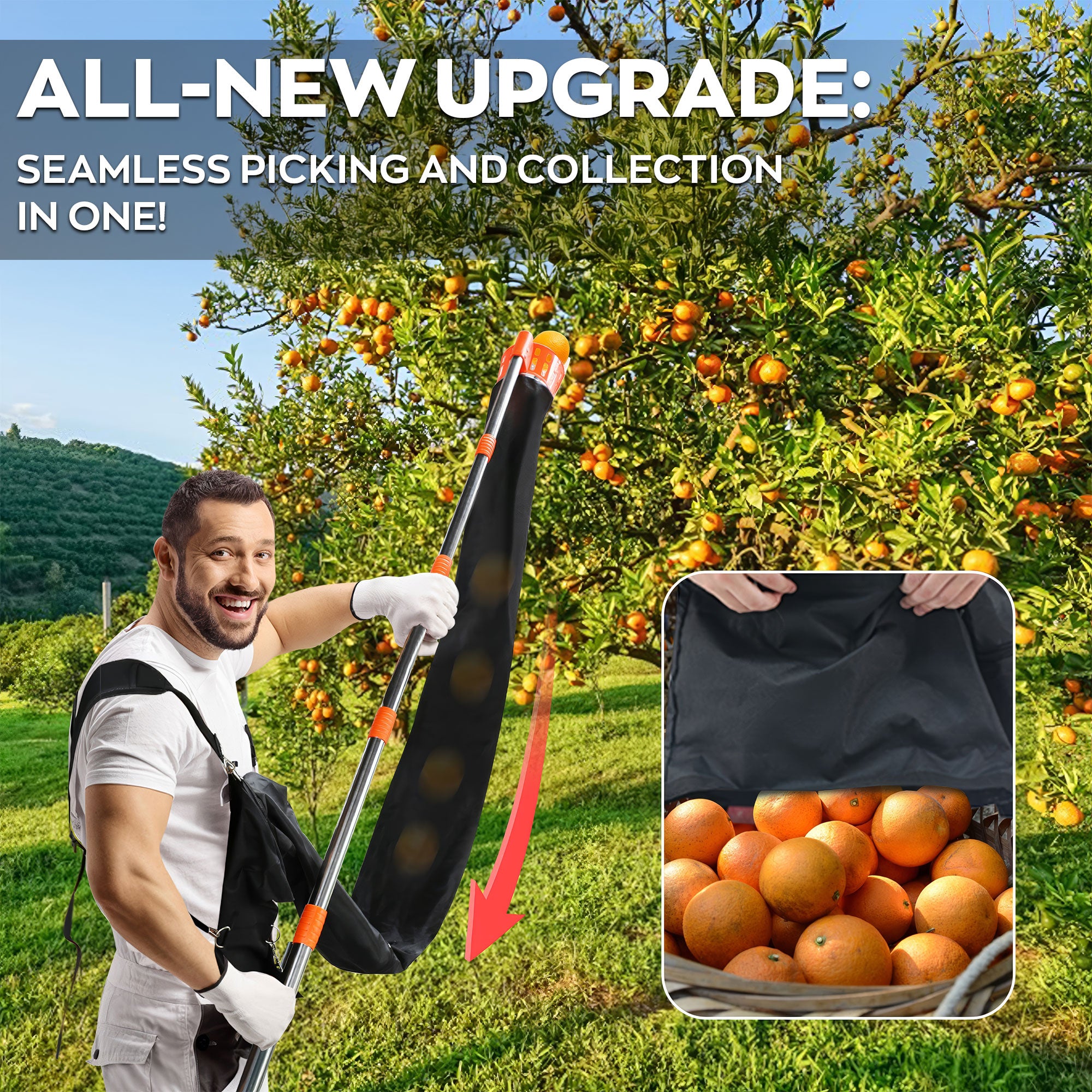 Pametik - Raccoglitore di Frutta Manico Telescopico 4m con Supporto e Borsa in Tessuto Arancione e Nero
