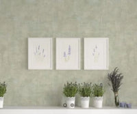 PARATO SATIN FLOWERS 66812 - ZAMBAITI PARATI 