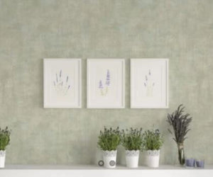 PARATO SATIN FLOWERS 66812 - ZAMBAITI PARATI 