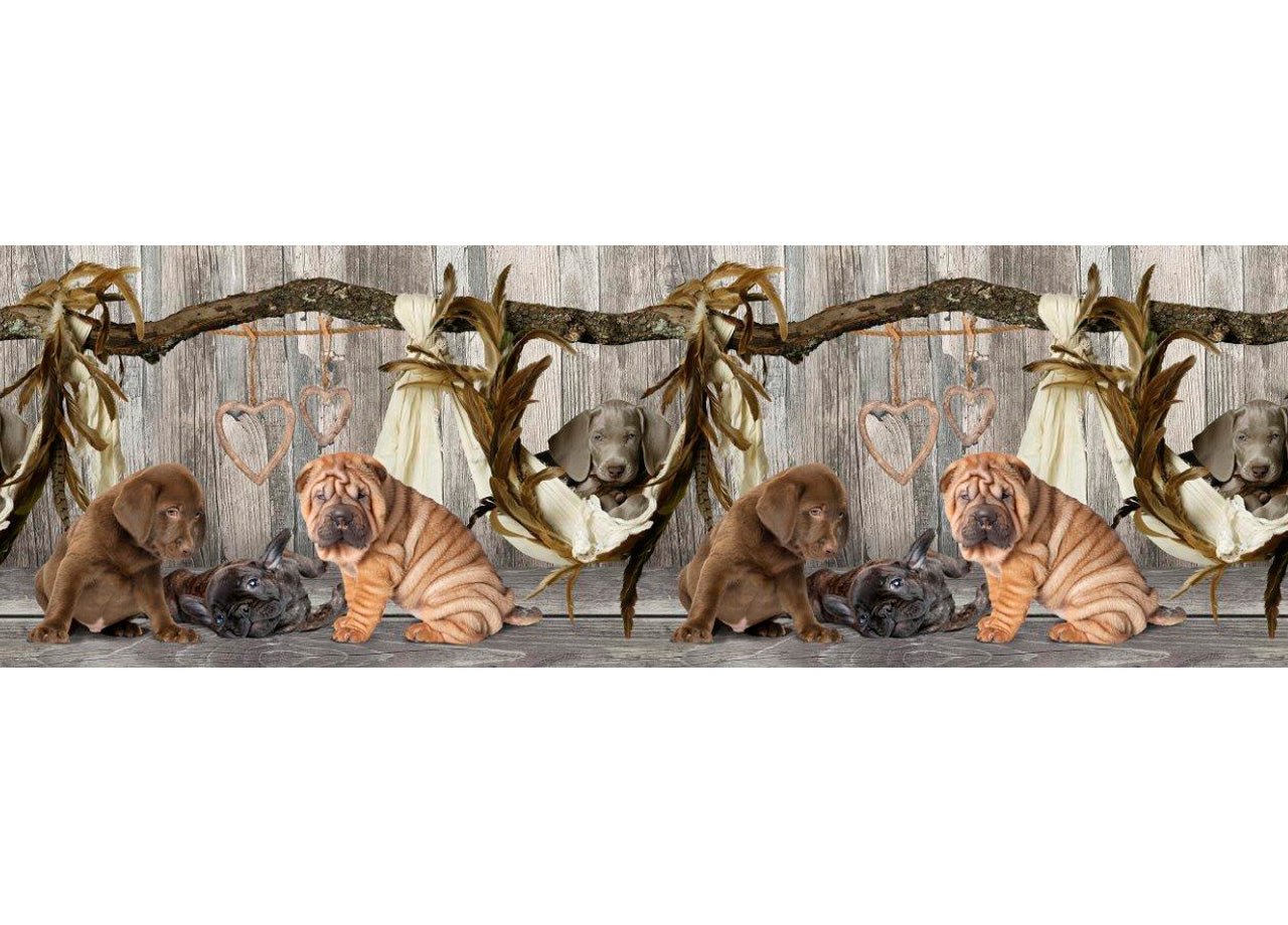 Tappeto Passatoia Cucina Antiscivolo Sottolavello Digitale Fantasie Varie - 50x140 - Cane Amaca