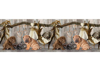 Tappeto Passatoia Cucina Antiscivolo Sottolavello Digitale Fantasie Varie - 50x140 - Cane Amaca