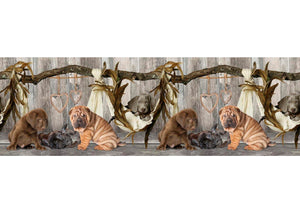 Tappeto Passatoia Cucina Antiscivolo Sottolavello Digitale Fantasie Varie - 50x140 - Cane Amaca