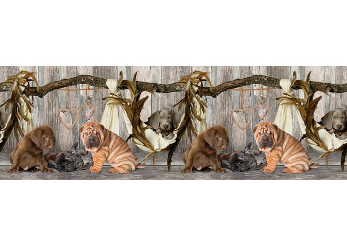 Tappeto Passatoia Cucina Antiscivolo Sottolavello Digitale Fantasie Varie - 50x140 - Cane Amaca