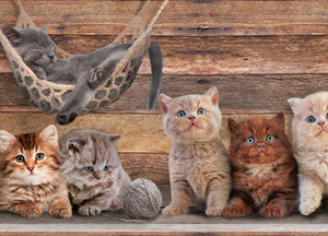 Tappeto Passatoia Cucina Antiscivolo Sottolavello Digitale Fantasie Varie - 50x600 - Gatto Amaca