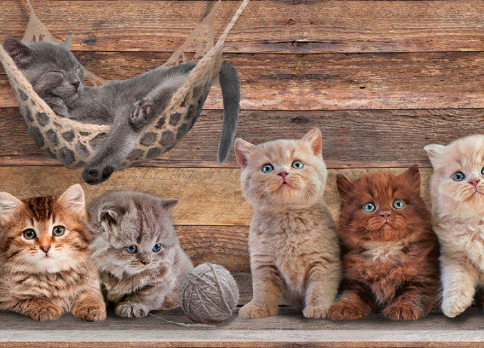 Tappeto Passatoia Cucina Antiscivolo Sottolavello Digitale Fantasie Varie - 50x600 - Gatto Amaca