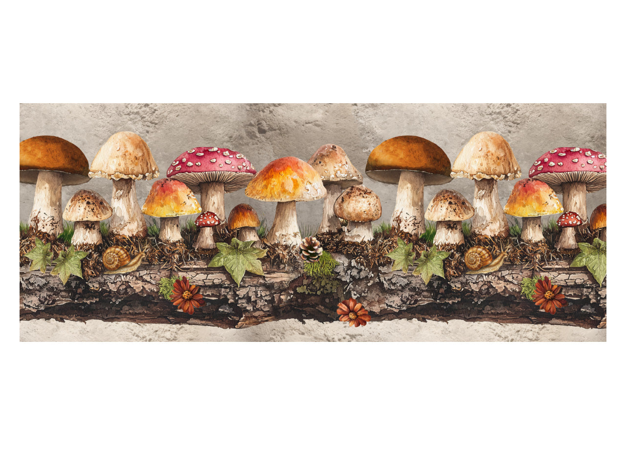 Tappeto Passatoia Cucina Antiscivolo Con Stampa Digitale Dis. Funghi 2657 - 50x115 - Funghi