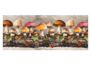 Tappeto Passatoia Cucina Antiscivolo Con Stampa Digitale Dis. Funghi 2657 - 50x115 - Funghi