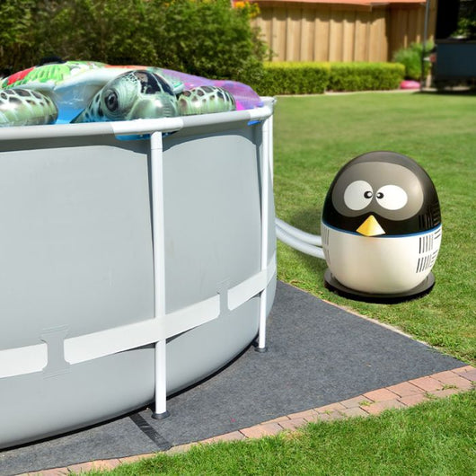 Pompa di calore per piscina da 15 a 25 m³ PENGUIN  - Pompa Di Calore Per Piscina Da 15 A 25 M³ Penguin  Pompa Di Calore Per Piscina Fino A 25 M³ Penguin Ice5