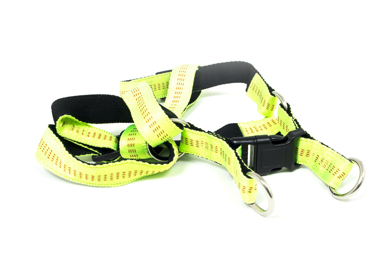 Pettorina Per Cani Regolabile E Resistente Modello Color Doggy - L - Verde Fluo