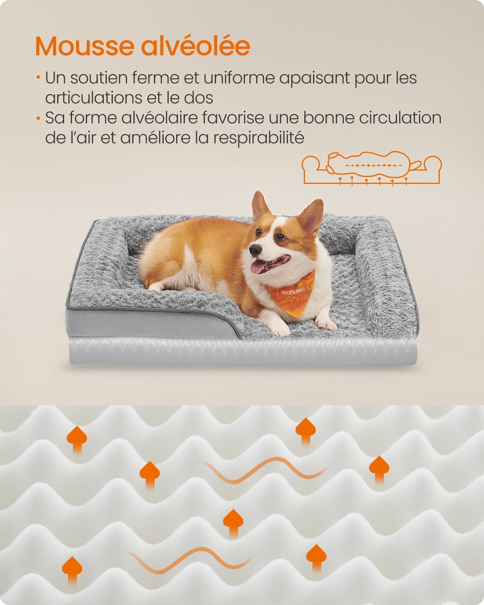 Cuccia per cani cuccia ortopedica per animali domestici schiuma a nido d'ape bordi imbottiti rialzati rivestimento in peluche sfoderabile con motivi rosa 91 x 68 x 16 cm grigio tortora 12_0006814