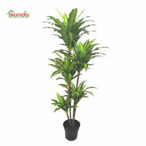 PIANTA DRACENA ARTIFICIALE  170 CM