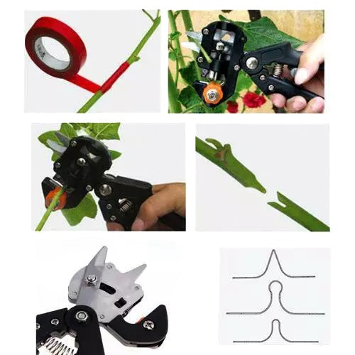 PINZA INNESTA INNESTATRICE MANUALE CON 3 INNESTI PER PIANTE E FIORI OMEGA GEMMA