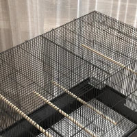 Grande Gabbia Uccelli Gabbia per Pappagalli con Supporto Ruote per Cacatua Pappagalli Canarini Pappagalli, 85 x 49 x 119 cm Nero