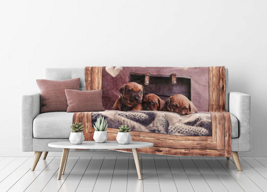 Plaid Coperta Divano Stampa Digitale Retro Agnellato Pelliccia Vari Disegni - 130x160 - Cane 21