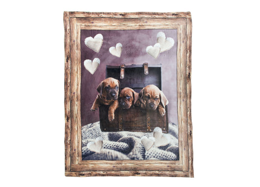 Plaid Coperta Divano Stampa Digitale Retro Agnellato Pelliccia Vari Disegni - 130x160 - Cane 21