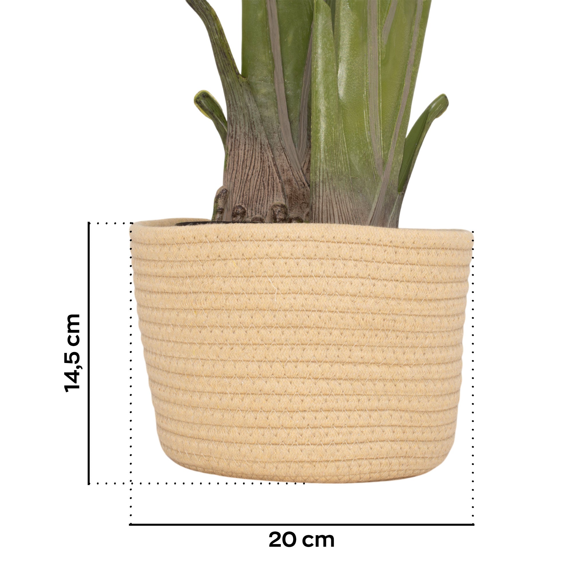 Traveller Banana 210 - Pianta Artificiale Decorativa Tropicale Banano H210 cm per Interno Esterno con Vaso Beige