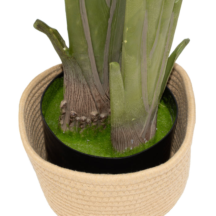 Traveller Banana 210 - Pianta Artificiale Decorativa Tropicale Banano H210 cm per Interno Esterno con Vaso Beige