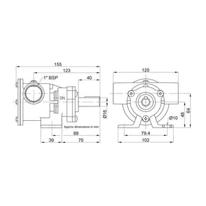 POMPA IN BRONZO 52080-2001