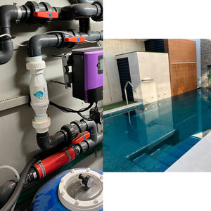 Pooltiger Residencia Depuratore Acqua Naturale Per Piscine Da 421 M3 Per Ora Bianco