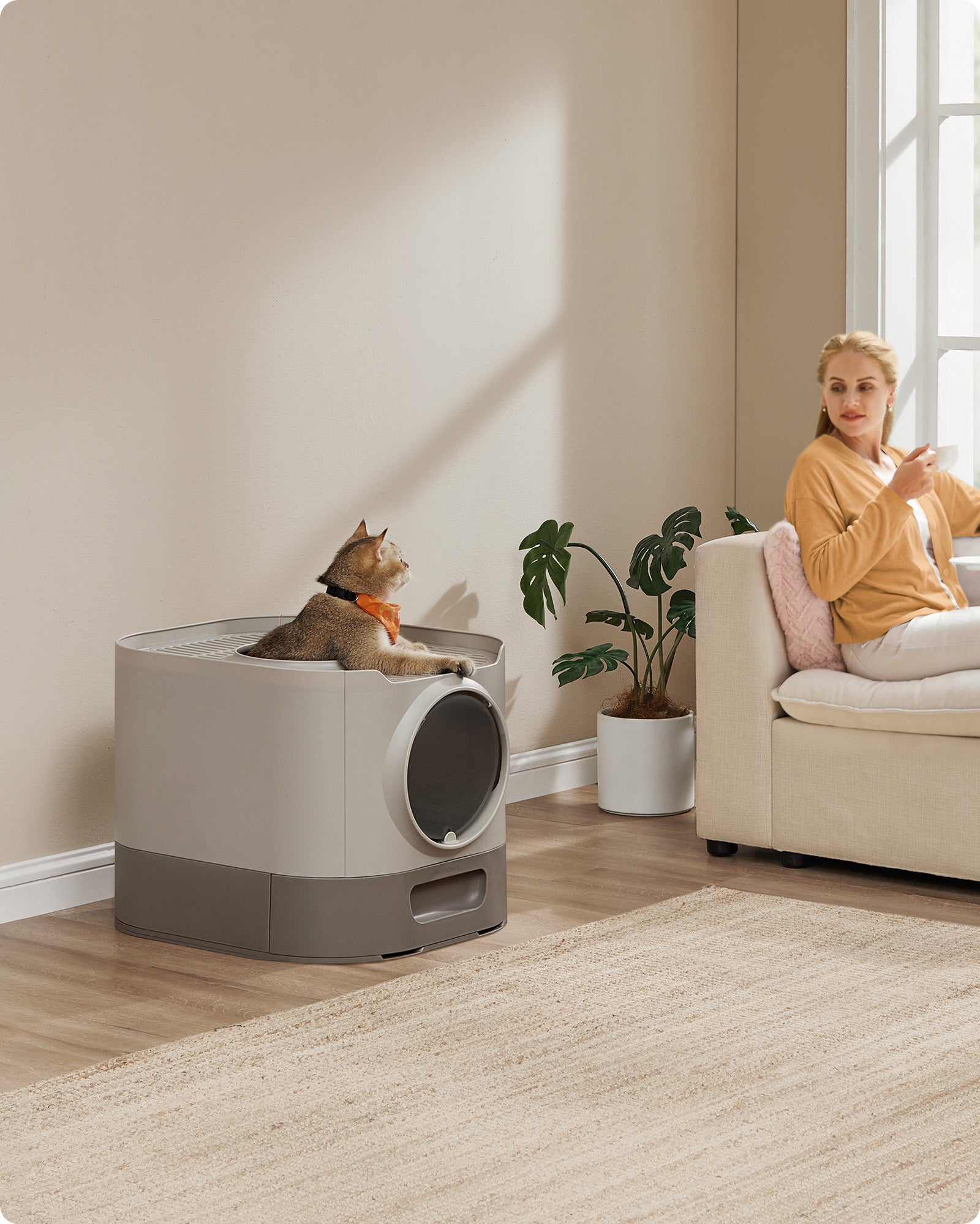 Lettiera XXL per gatti con coperchio vassoio rimovibile paletta spazzola spazio per gatti di grandi dimensioni meno tracce fondo a prova di perdite grigio 12_0004052
