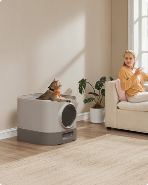 Lettiera XXL per gatti con coperchio vassoio rimovibile paletta spazzola spazio per gatti di grandi dimensioni meno tracce fondo a prova di perdite grigio 12_0004052