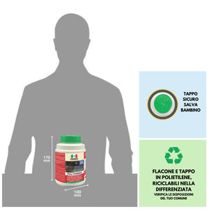 Kit per la Pulizia Professionale del Forno e Barbecue   KIT FORNO E BARBECUE