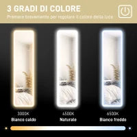 Specchio da Parete Touch con Illuminazione LED Regolabile, in Vetro Temperato e Metallo, 40x3x120 cm, Nero
