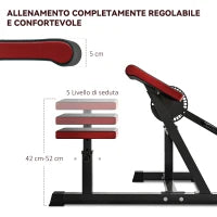 Panca Romana 2 in 1 per Curl e Tricipiti con Sedile a 5 Livelli e 25 Regolazioni, Nero