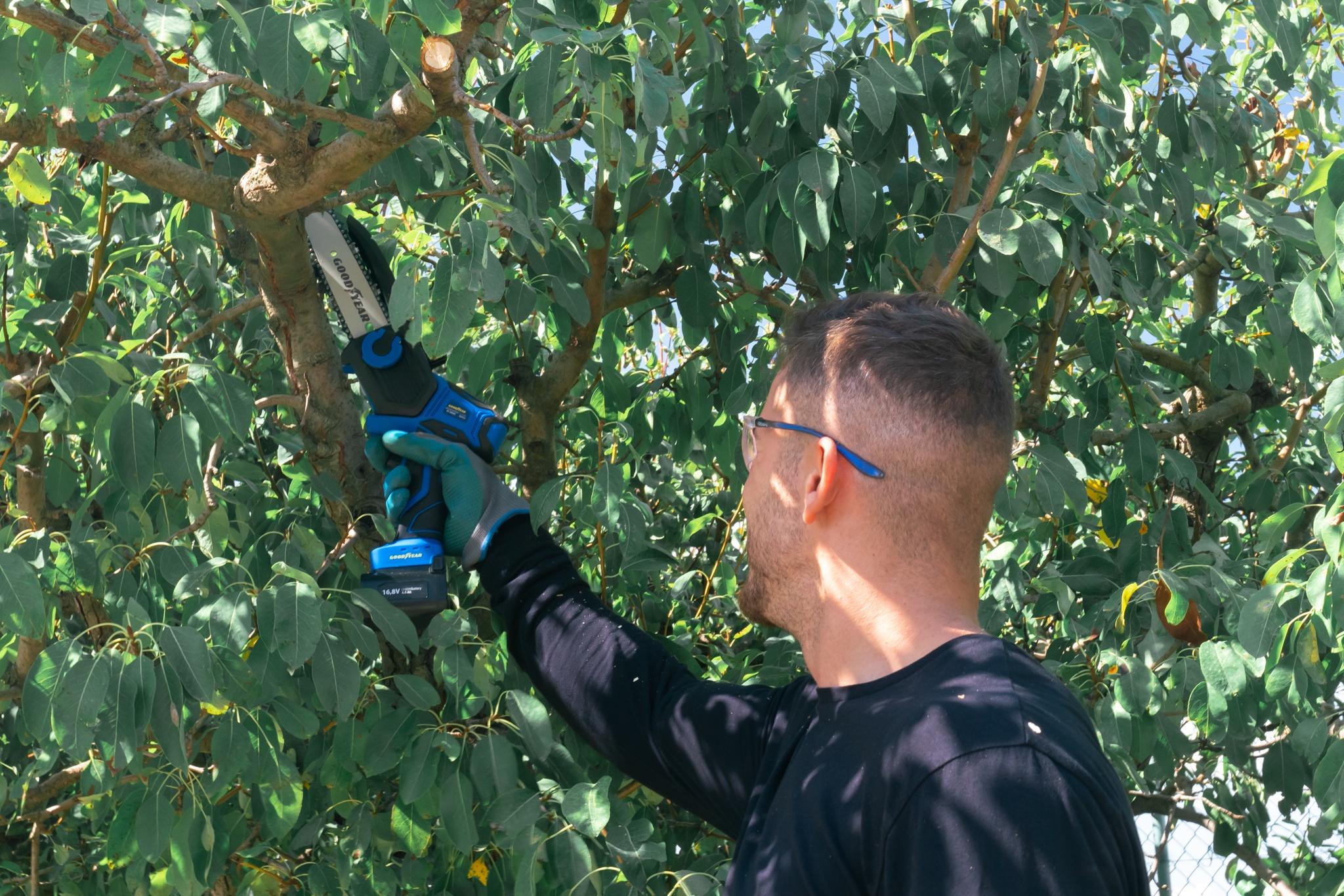 Seghetto elettrico per potatura con 2 batterie 16,8V. Seghetto elettrico 450W. Taglio massimo 150mm Guida 6'' Goodyear