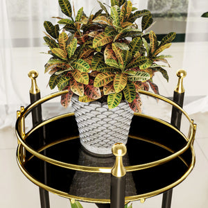 Stand Portapiante Oulainen con 2 Piani Portavasi - Nero / Oro [en.casa]