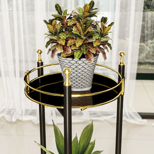 Stand Portapiante Oulainen con 2 Piani Portavasi - Nero / Oro [en.casa]