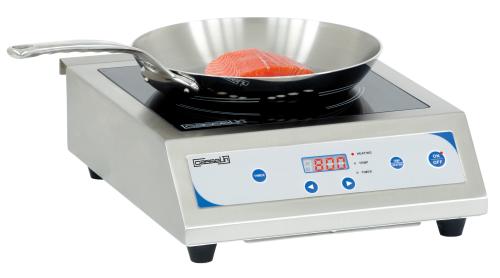 Piastra a induzione professionale 3500 watt RS9916