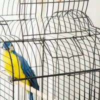 Gabbia per Uccelli con 3 Posatoi, 2 Ciotole e 2 Porte Laterali, in Acciaio, PP e Legno, 46x36x130 cm, Nera