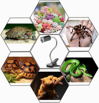 Portalampada con Pinza Braccio Flessibile in Ceramica Per Tartarughe Rettili E27