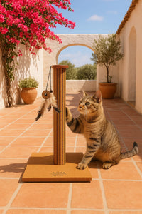 Graffiatoio in sughero Brisa