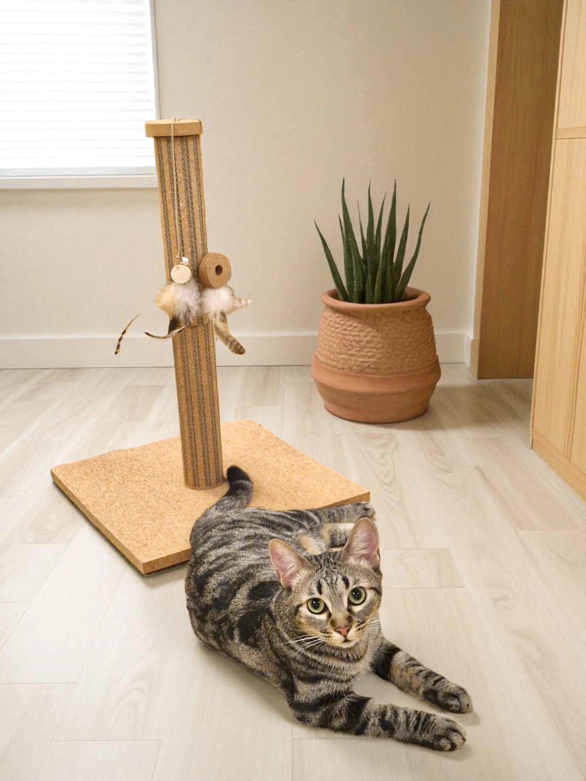 Graffiatoio in sughero Brisa