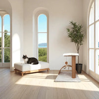 Posta interattiva di Stela