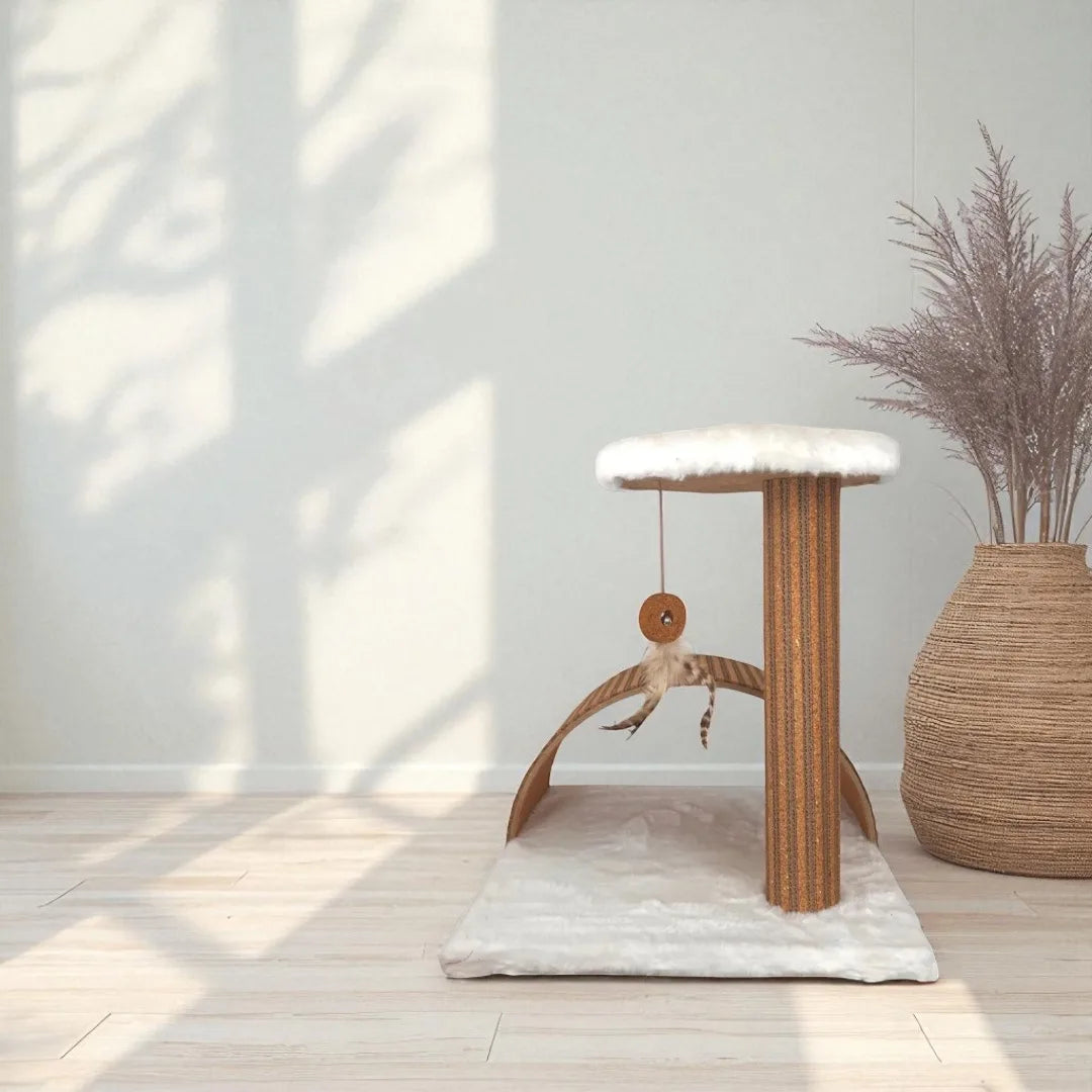 Posta interattiva di Stela